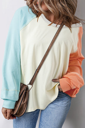 Color Block Round Neck Long Sleeve T-Shirt-True and Wild