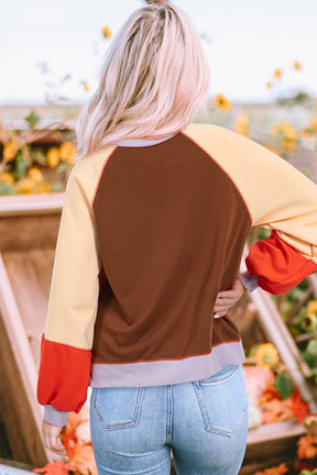 Color Block Round Neck Long Sleeve Sweatshirt-True and Wild