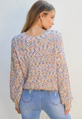 Confetti Round Neck Long Sleeve Sweater-True and Wild