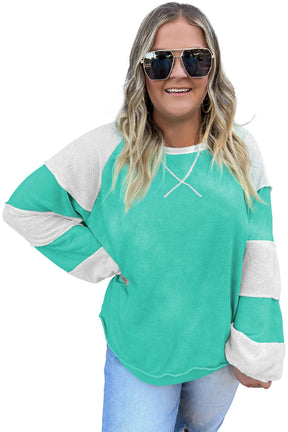 Aruba Blue Colorblock Patchwork Plus Sweatshirt-True and Wild